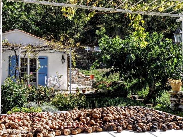 Holiday home in France, Languedoc-Roussillon – holiday house Le Pré du Moulin