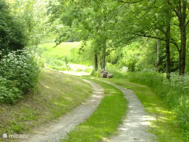 Le Pré du Moulin | France, Hérault, Marthomis - maison de vacances La route vers la maison