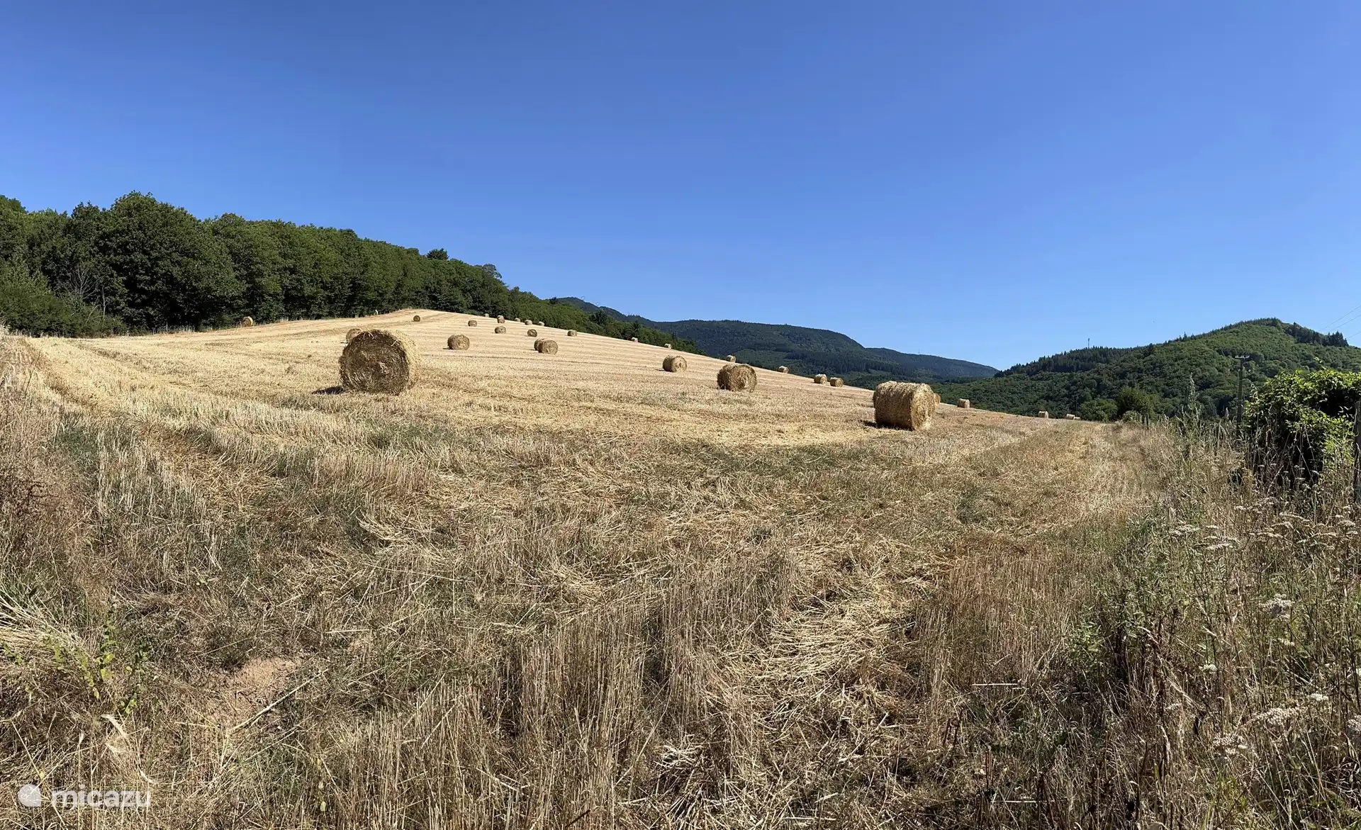 Auf dem Weg zum Haus kommt man hier vorbei