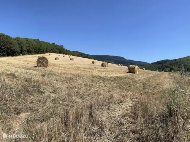 Le Pré du Moulin | France, Hérault, Marthomis - maison de vacances Vous passez ici sur le chemin de la maison