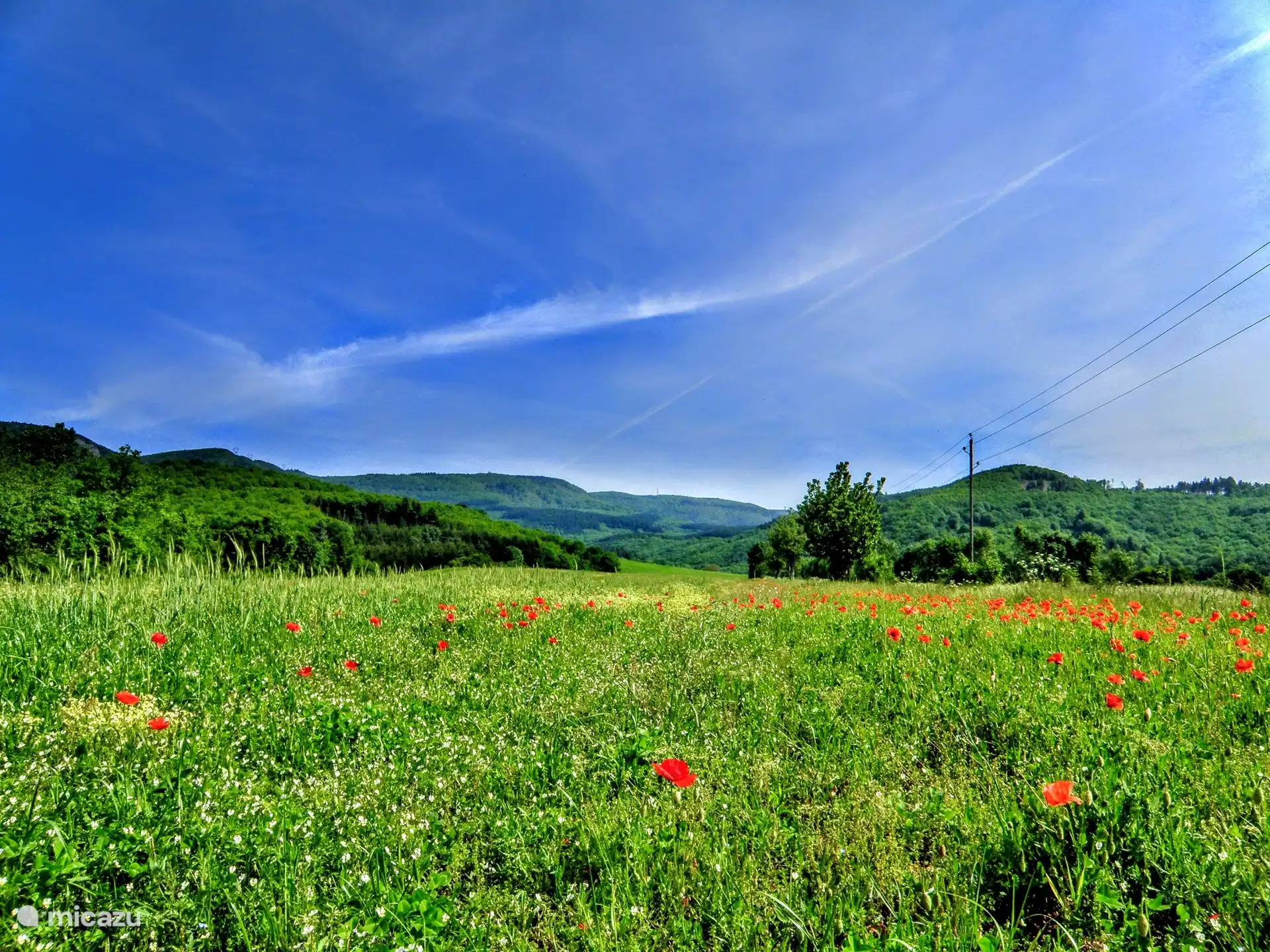 Auf dem Weg zum Haus kommen Sie hier vorbei 
