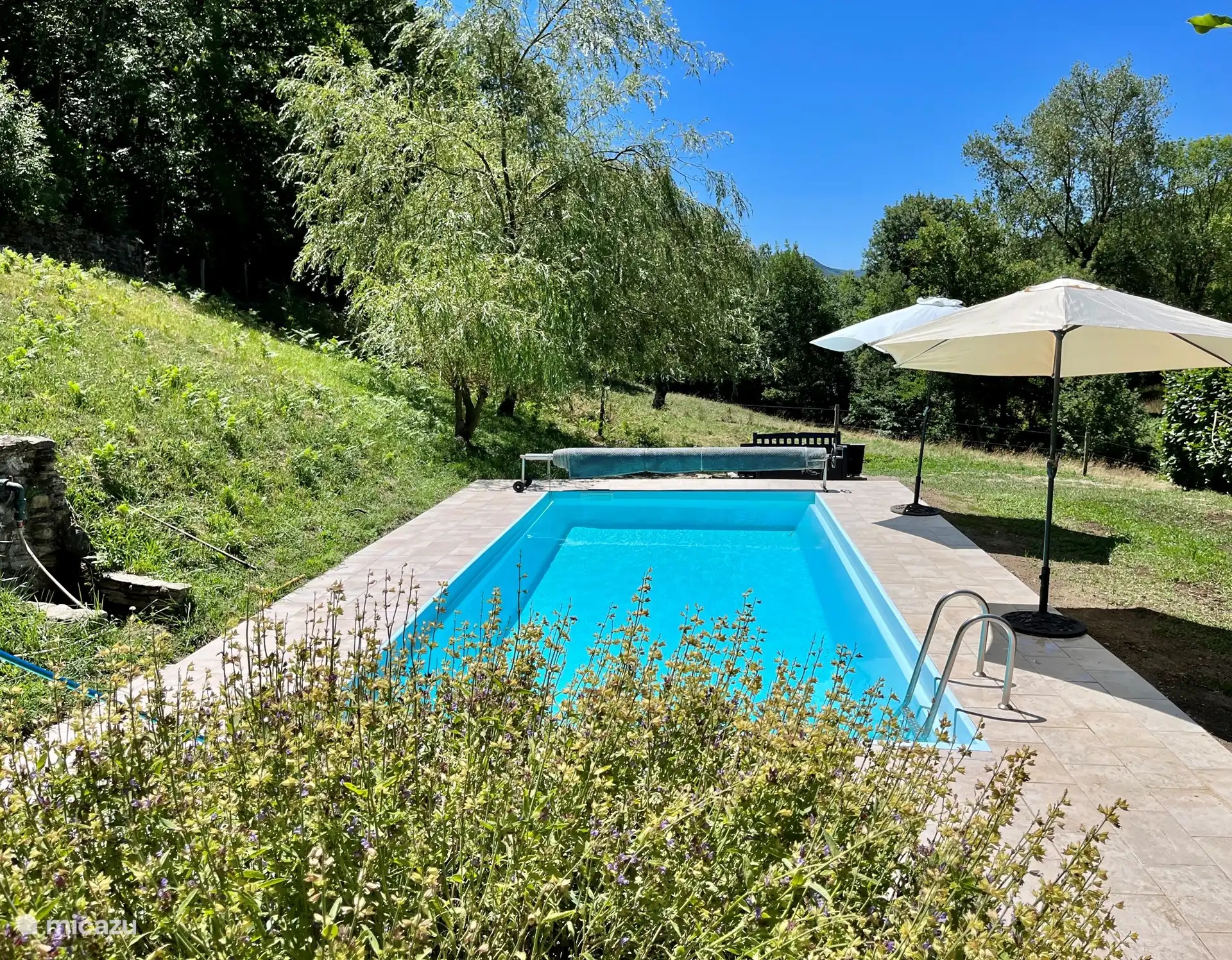 Der Swimmingpool mit Sonnenliegen und Sonnenschirmen