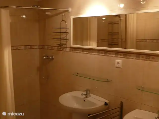 Vrijstaande villa met privé zwembad huren in Spanje, Costa Blanca, Gran Alacant - Santa Pola - vakantiehuis Badkamer benedenwoning met dubbele wastafel. Een bad en aparte douche.