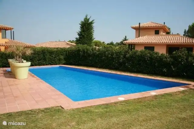 Swimming pool and view