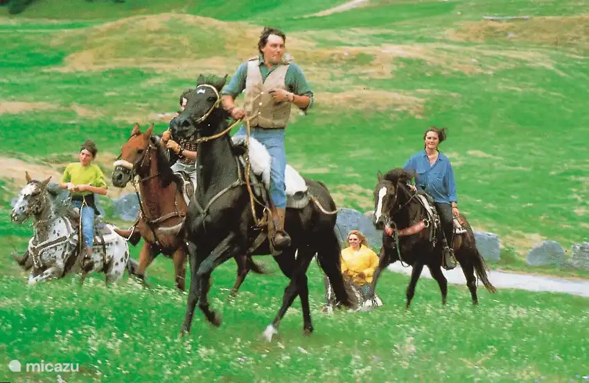 Horse riding, polo club nearby