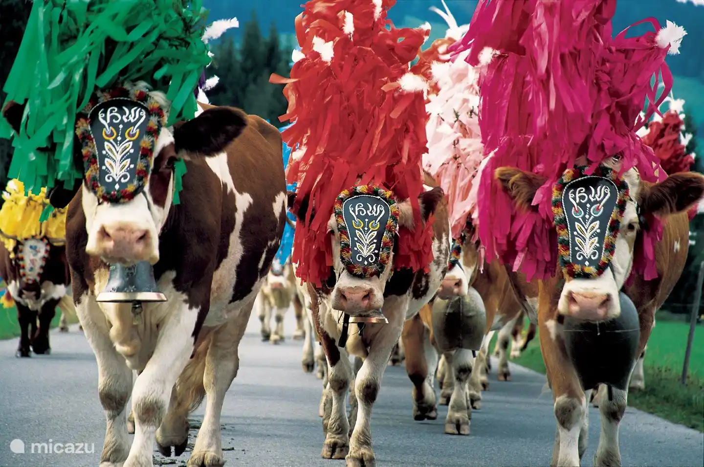 Almabtrieb en septiembre