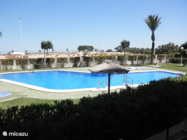 Residencial Puerto Marino en España, Costa Blanca, Guardamar del Segura - apartamento la piscina con varias duchas y césped solo puede ser utilizada por inquilinos o propietarios
