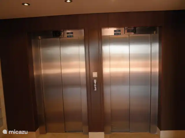 Residencial Puerto Marino en España, Costa Blanca, Guardamar del Segura - apartamento utilice uno de los dos ascensores de cristal con vistas panorámicas al patio. terminas en una sala con un entrepiso, por lo que no hay galería.