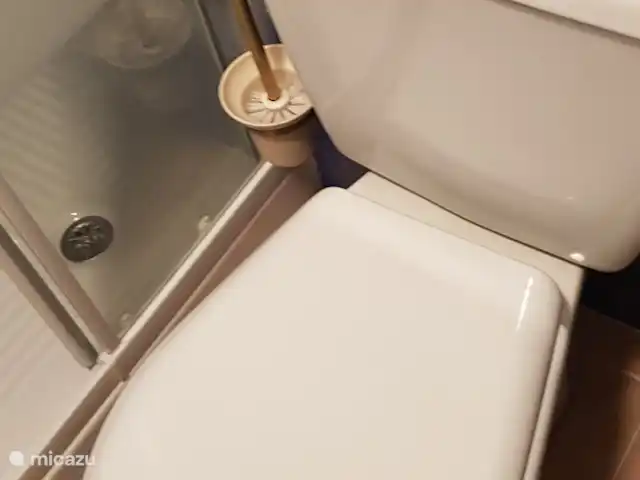 Residencial Puerto Marino en España, Costa Blanca, Guardamar del Segura - apartamento Aseo en 2do baño.