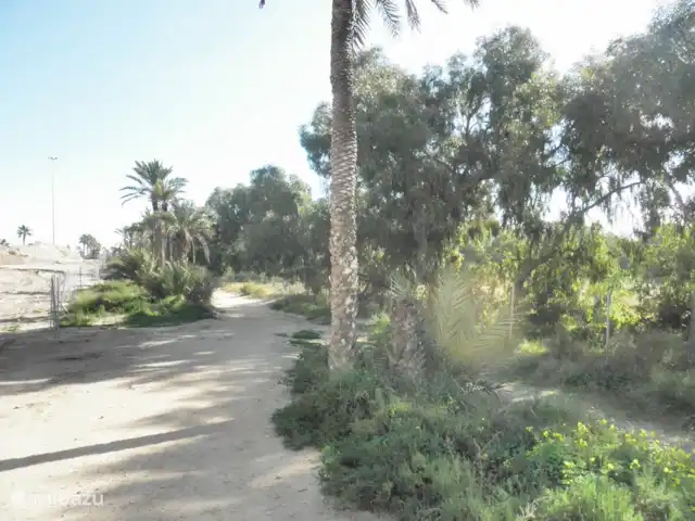 Residencial Puerto Marino en España, Costa Blanca, Guardamar del Segura - apartamento Camine recto por el camino de arena.