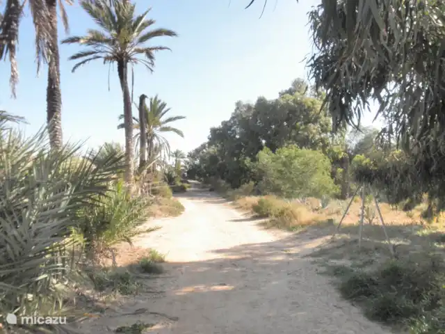 Residencial Puerto Marino en España, Costa Blanca, Guardamar del Segura - apartamento A la derecha del camino hay una reserva natural.