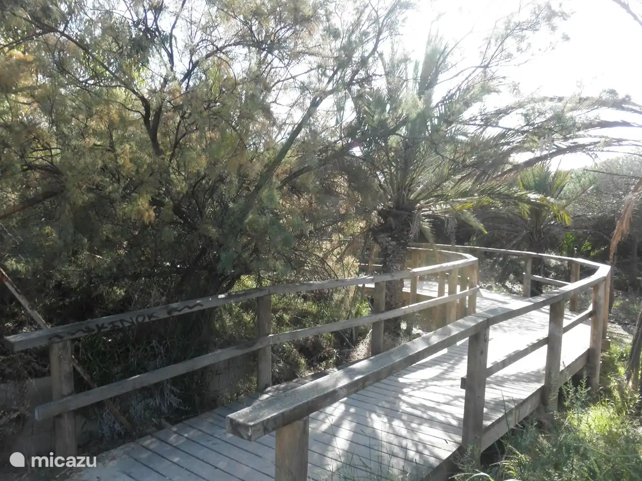 Al final del camino de arena encontrará este hermoso camino de madera ajardinado a través de las dunas hacia la playa, pagado por Europa. También se usa para ciclistas.