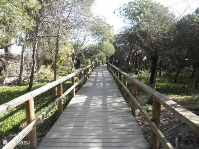 Residencial Puerto Marino en España, Costa Blanca, Guardamar del Segura - apartamento Disfruta de esta parte de Europa.