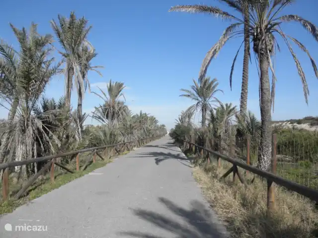 Residencial Puerto Marino en España, Costa Blanca, Guardamar del Segura - apartamento Al final del camino de madera se llega a esta carretera, se gira a la derecha por varios cruces de dunas hasta la playa. En bicicleta también girar a la derecha y en 15 minutos en el Boulevard de Guardamar con acogedoras terrazas. Si gira a la izquierda, llegará al puerto.