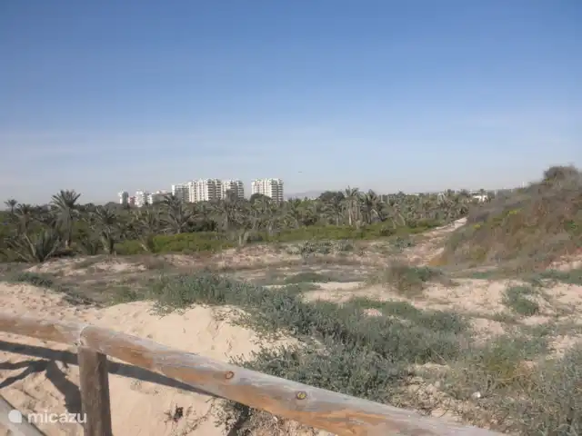 Residencial Puerto Marino en España, Costa Blanca, Guardamar del Segura - apartamento Después de enjuagar la arena, verá los edificios de apartamentos del Residencial Puerto Marino. Bloque 3 a la derecha.