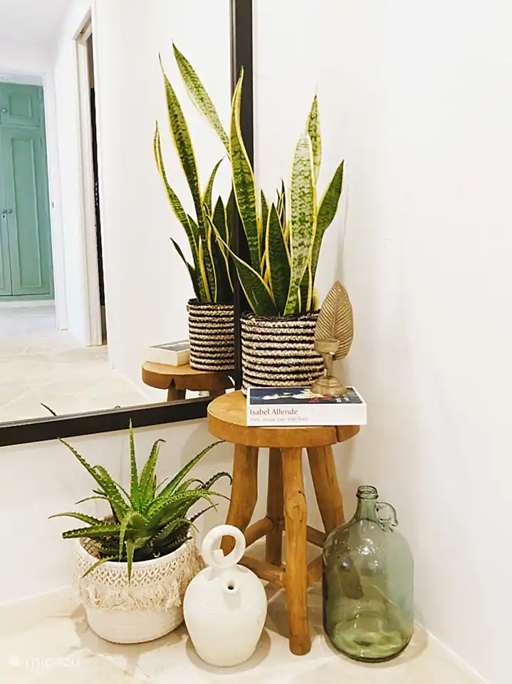 Door kleine details waait er een fijne Ibiza/ boho vibe door het appartement 