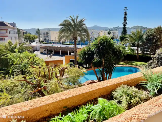 Perla del Arenal * 100m del bulevar en España, Costa Blanca, Jávea - apartamento Vista abierta al jardín bien cuidado.