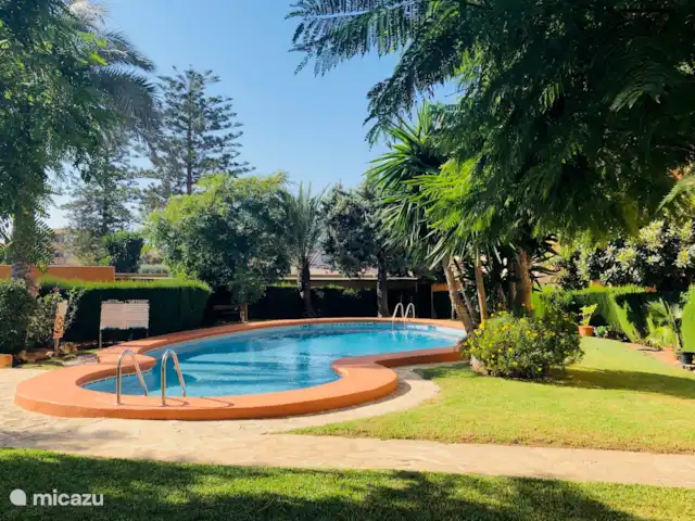 Perla del Arenal * 100m del bulevar en España, Costa Blanca, Jávea - apartamento Junto a la piscina encontrarás el trastero privado con sillas de playa, tumbonas...