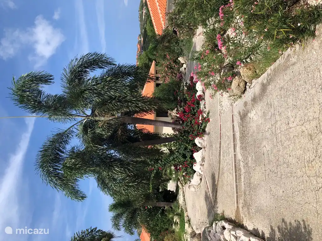 A travers le jardin tropical en direction de la plage ou de la piscine