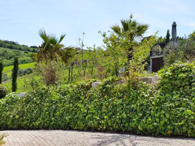 Casa La Farfalla huren in Italië, Marche, Offida - villa zijtuin