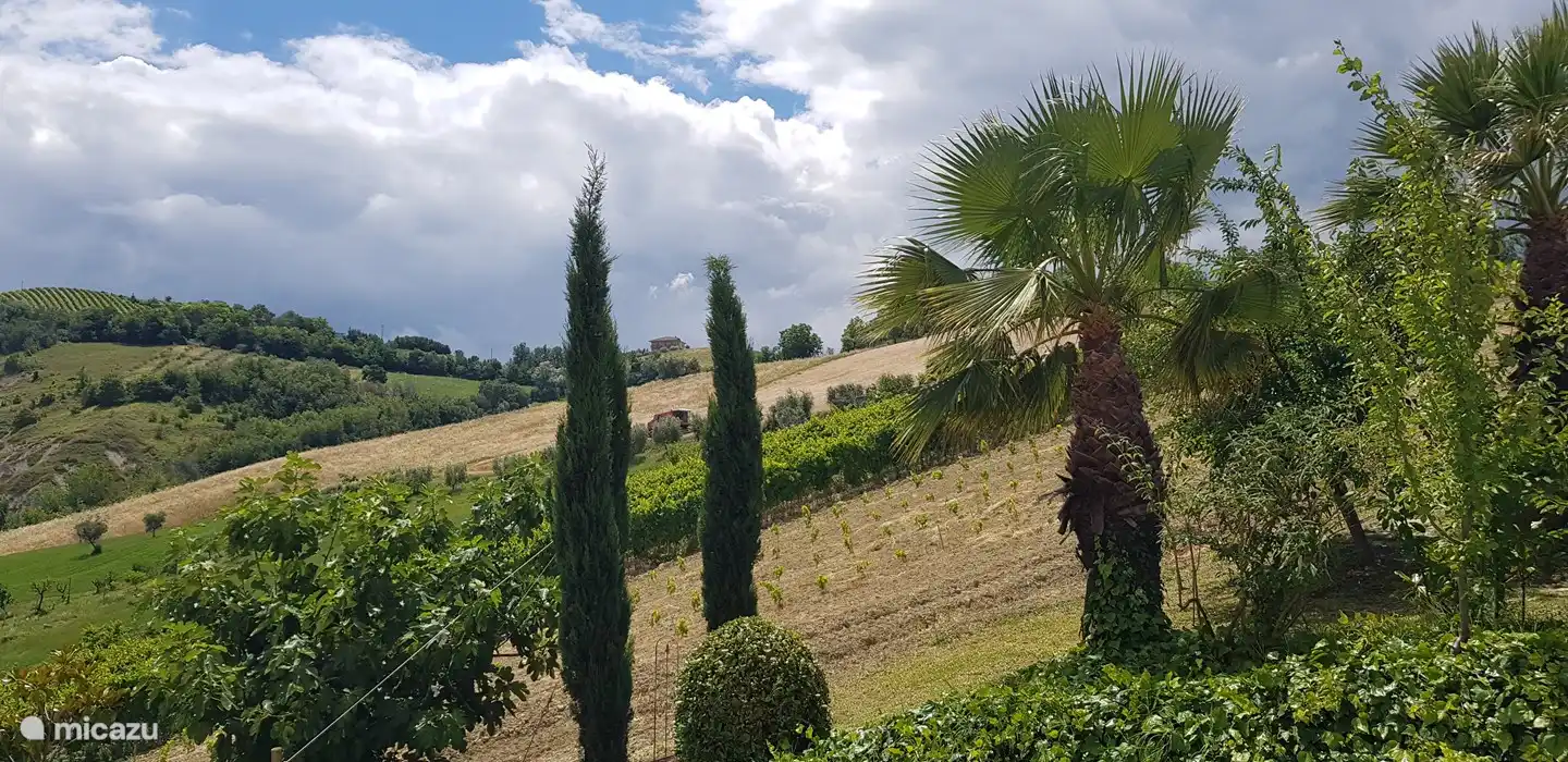 Seitenansicht des Gartens