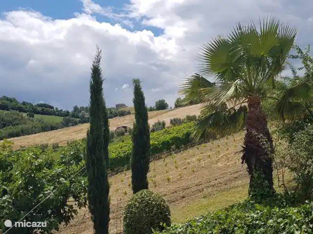 Casa La Farfalla huren in Italië, Marche, Offida - villa zij aanzicht vd tuin