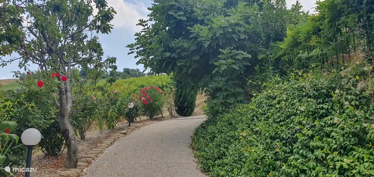 Weg in die untere Etage und Trampolin