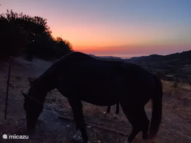 Casa Pizzido | Italie, Sicile, Collesano - maison de vacances