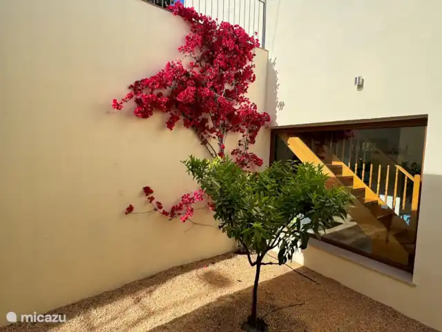 Sophia-Laurens | Espagne, Costa Brava, Calonge - villa