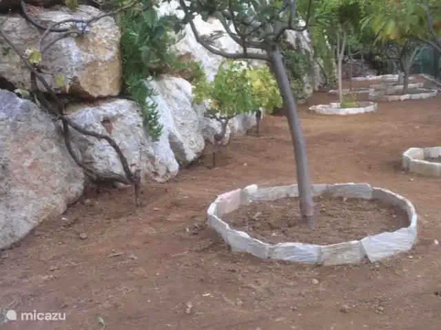 Sophia-Laurens | Espagne, Costa Brava, Calonge - villa Arbres fruitiers