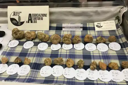 Fête de la Truffe à Alba
