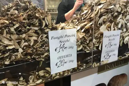 Fête de la Truffe à Alba
