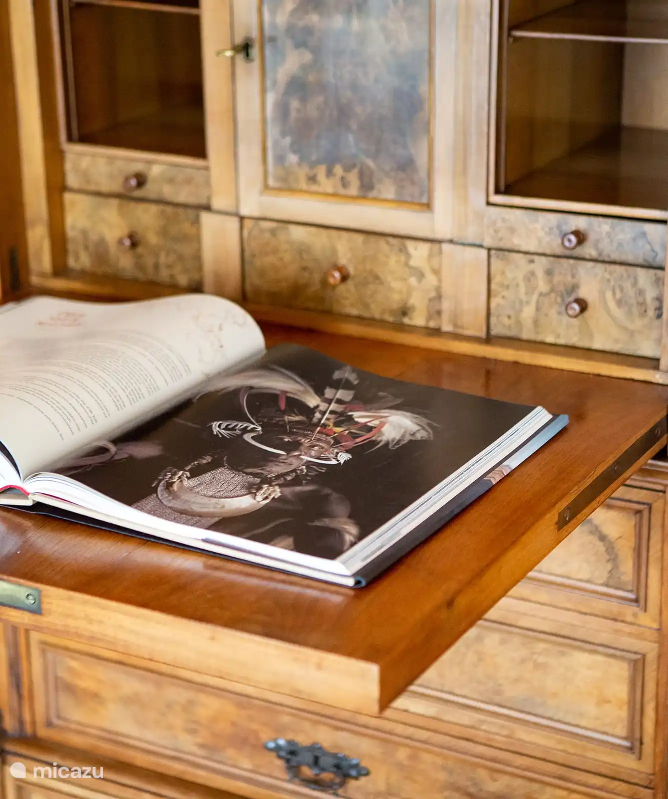 Gran colección de libros y DVDs