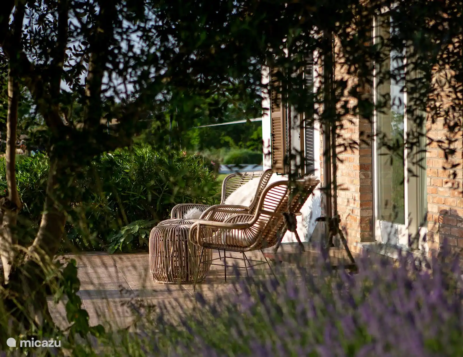 Terraza con vistas a los Alpes
