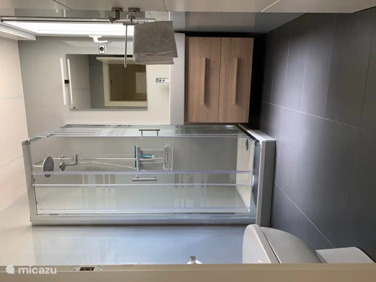 Cuarto de baño con ducha y WC