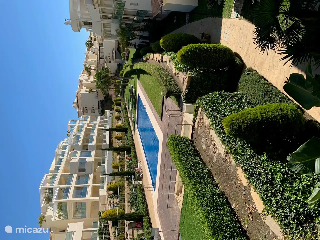 Piscina con tumbonas y sombrillas