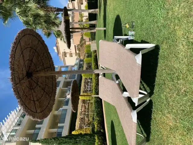 Tumbonas junto a la piscina.