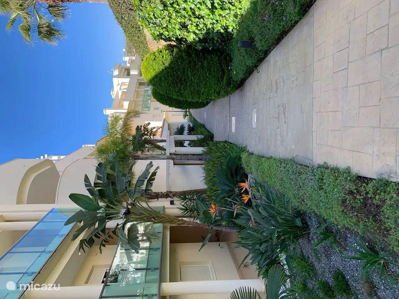 Llegada a través del jardín