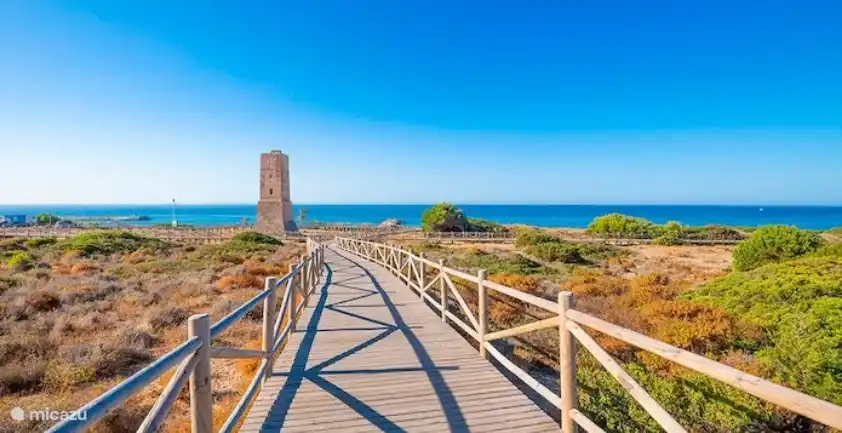 Playa y dunas Cabopino