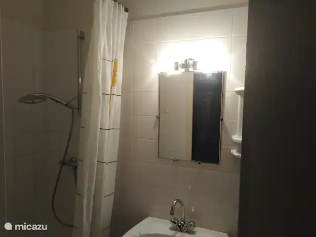 Bouton d'Or la ferme d'Hélice | France, Indre, Sarzay - gîte / cottage Salle d'eau dans la chambre avant Bouton d'Or
