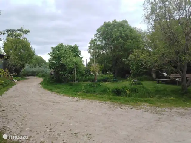 Bouton d'Or la ferme d'Hélice | France, Indre, Sarzay - gîte / cottage arrière-cour ferme d'Hélice