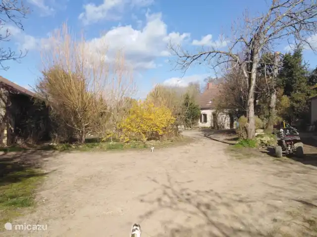 Bouton d'Or la ferme d'Hélice | France, Indre, Sarzay - gîte / cottage La cour avant de la ferme d'Helice