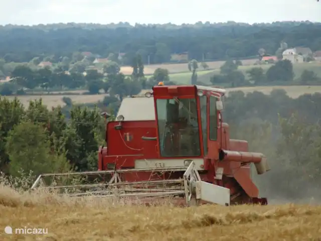 Bouton d'Or la ferme d'Hélice | France, Indre, Sarzay - gîte / cottage La vue de la ferme d'Hélice à l'avant