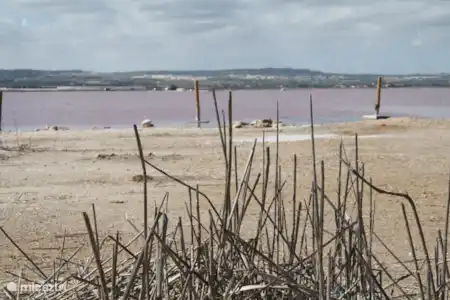 Le lac Salé
