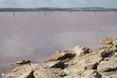 Le lac Salé