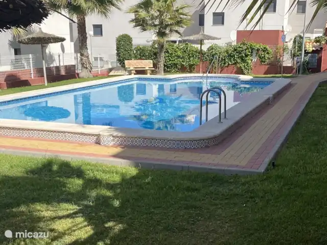 Location de Vacances Espagne, Costa Blanca, Orihuela Costa, appartement - Casa Bosque Piscine à l'appartement