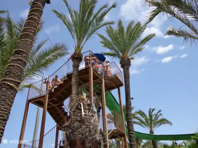 Location de Vacances Espagne, Costa Blanca, Orihuela Costa, appartement - Casa Bosque Zoo : Rio Safari à Elche aussi pour la baignade