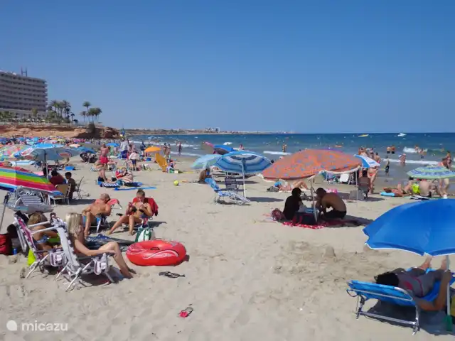 Location de Vacances Espagne, Costa Blanca, Orihuela Costa, appartement - Casa Bosque Se détendre sur la plage