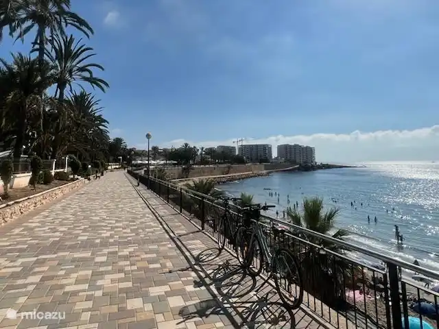 Location de Vacances Espagne, Costa Blanca, Orihuela Costa, appartement - Casa Bosque Profitez du vélo le long du boulevard à Punta Prima