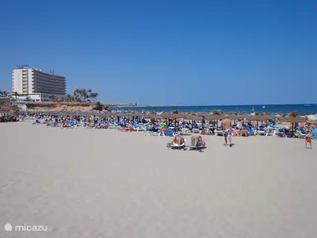 Location de Vacances Espagne, Costa Blanca, Orihuela Costa, appartement - Casa Bosque Profitez de la baignade dans la mer.